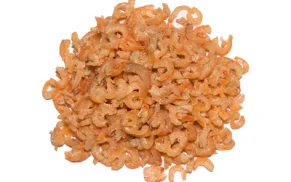 Dried Shrimp