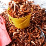 Dried Prawns